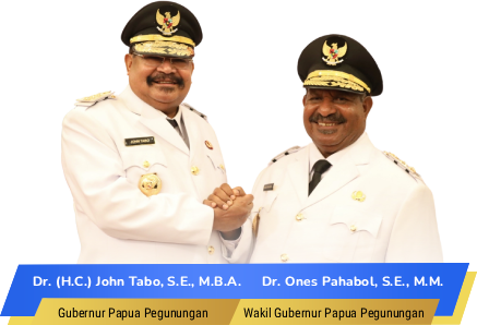 Ilustrasi Satu Data Provinsi Papua Pegunungan